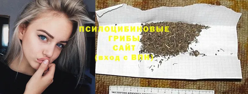 Купить наркотик Красногорск Гашиш  Cocaine  Меф мяу мяу  ТГК  Бутират  Канабис  Alpha-PVP 