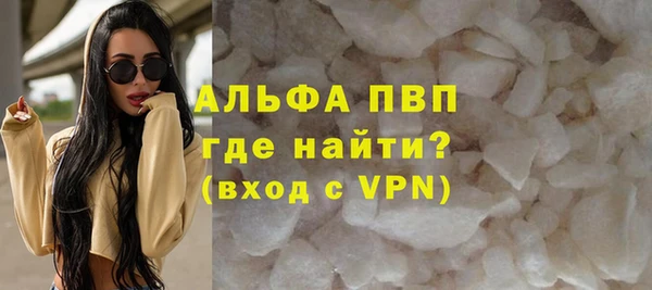 сатива Новокубанск