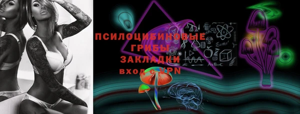 сатива Новокубанск