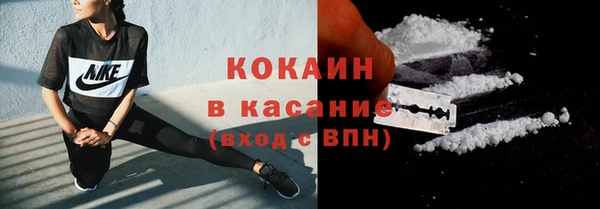 сатива Новокубанск