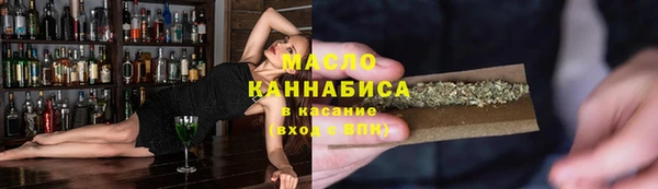 сатива Новокубанск