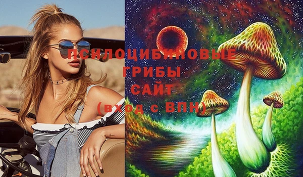 сатива Новокубанск