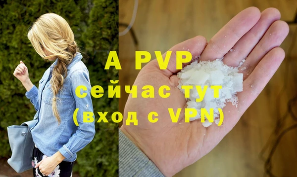 сатива Новокубанск