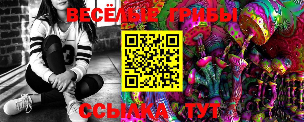 Красногорск  Галлюциногенные грибы мицелий  Вход с VPN 