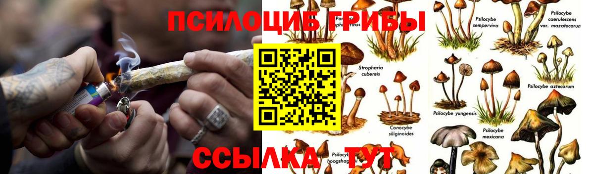 Галлюциногенные грибы прущие грибы Красногорск